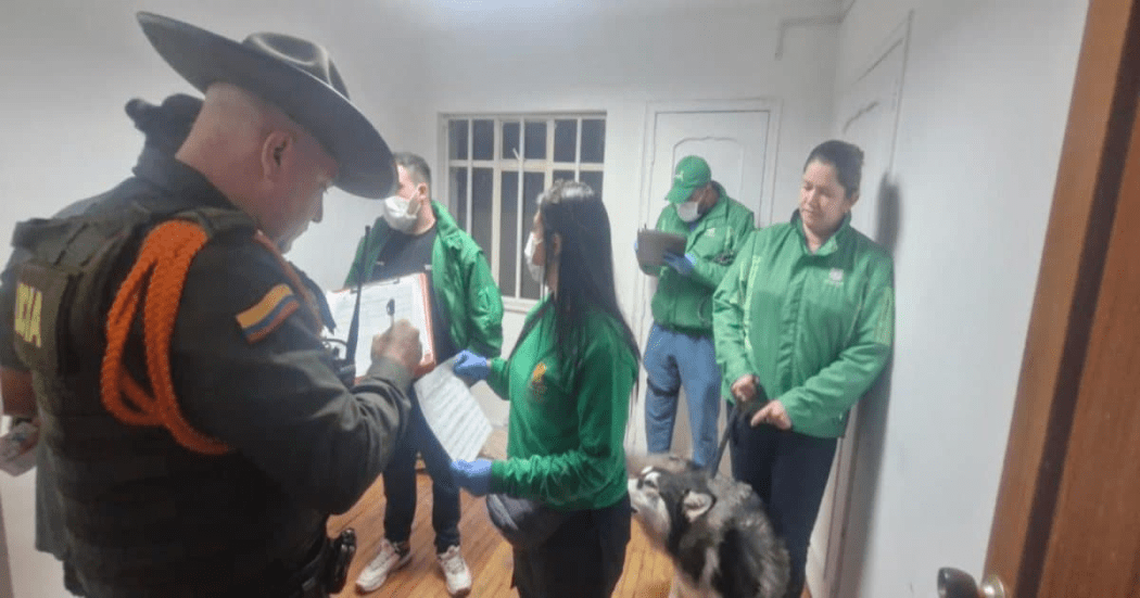 Rescate de Mía una canina víctima de maltrato en Teusaquillo Bogotá
