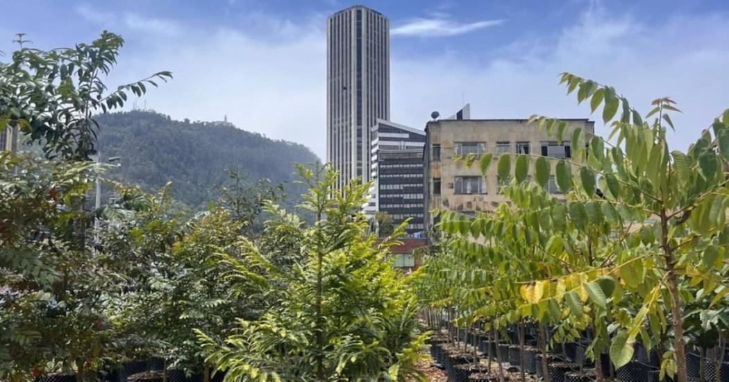 Urbanismo temporal, estrategia que le está cambiando la cara a Bogotá