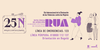Día Internacional de Eliminación de la Violencia contra la Mujer: 25N