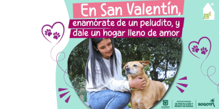 Jornadas de adopción en Bogotá durante San Valentín en este 2025