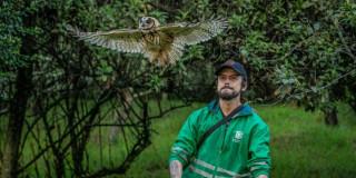 Liberación aves en Bogotá durante Día Mundial de Vida Silvestre 2025