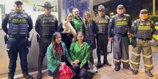 Cómo fue el rescate de Duquesa una perrita que fue hurtada en Bogotá