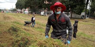Defensores del Espacio Público revitalizaron zonas verdes de Bogotá 