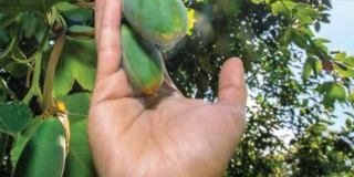 Conoce el Festival de Huerta en Huerta Bogotá y asiste este 25 de mayo