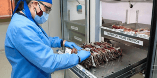 Donación de sangre en Bogotá este 2025 beneficios y más información