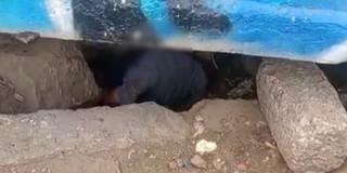 Policía desmantela expendio de estupefacientes debajo de un puente en Bogotá Policía desmantela expendio de estupefacientes debajo de un puente en Bogotá