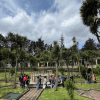 El Jardín de la Memoria florece en Bogotá como símbolo de justicia 