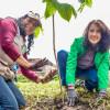 Semana Ambiental y Día Mundial del Medio Ambiente en Bogotá 2025 